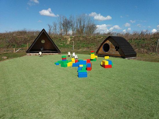 Hasty's Adventure Farm